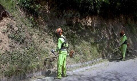 Desbroces de terreno Desbroces de carretera