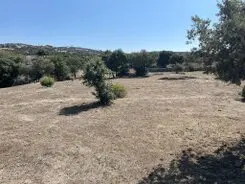 desbrozamos fincas y parcelas Barcelona y provincia