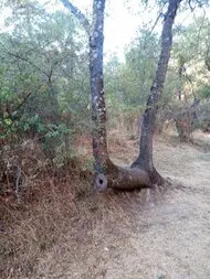 Desbrozamos fincas y limpiamos parcelas en Barcelona y provincia