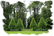 Desbroces parcelas fincas Poda y tala en la comunidad de madrid