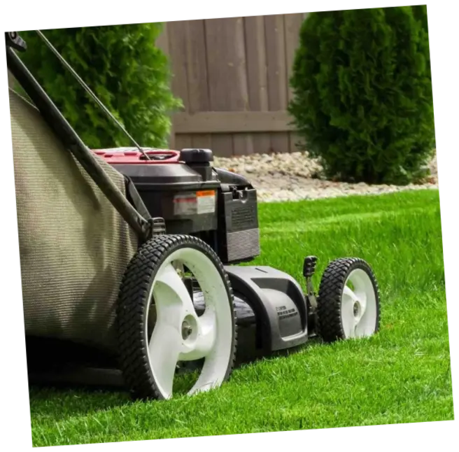 Mantenimiento de jardines