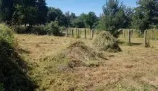 Limpieza de terrenos