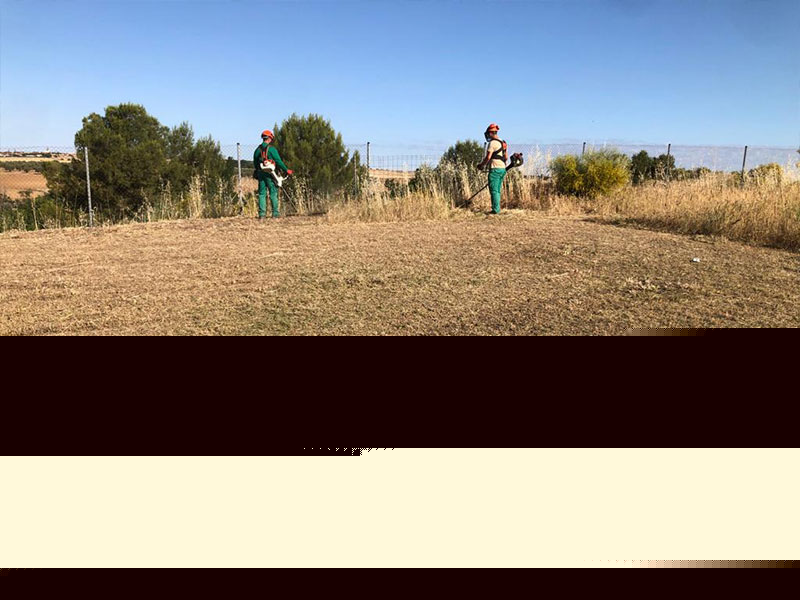 Desbroce terrenos limpiezas de fincas y parcelas, Ajalvir