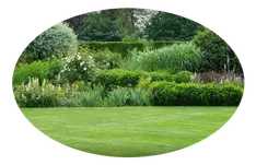 Podas y talas en altura